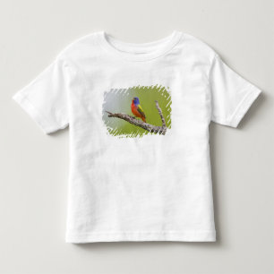 T-shirt Pour Les Tous Petits Bruant à tête rouge Passerina ciris) mâle chantant