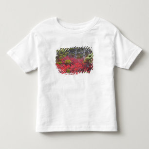 T-shirt Pour Les Tous Petits Buissons et pins de myrtilles