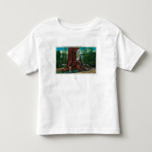 T-shirt Pour Les Tous Petits Cabane dans un arbre de renommée mondiale, parc d