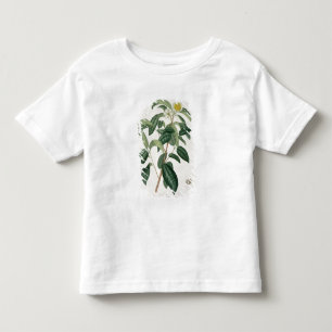T-shirt Pour Les Tous Petits Camélia Thea de "Phytographie Medicale" par Jose