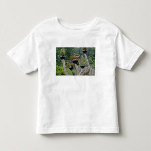 T-shirt Pour Les Tous Petits Canada, Nouveau-Brunswick, St Andrews. Théières