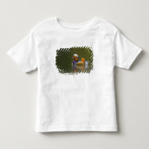 T-shirt Pour Les Tous Petits Canard mandarin sauvage (Aix galericulata) sur fon