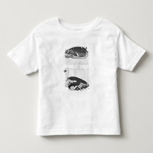 T-shirt Pour Les Tous Petits Canards, le de l'album de Vallardi