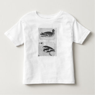 T-shirt Pour Les Tous Petits Canards, le de l'album de Vallardi