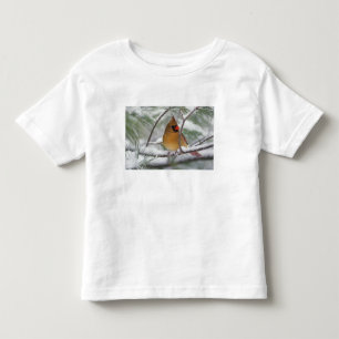 T-shirt Pour Les Tous Petits Cardinalis femelle dans un pin enneigé,