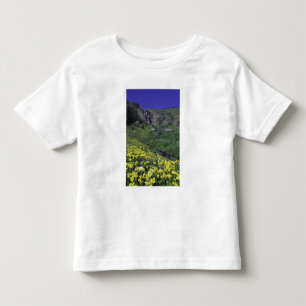 T-shirt Pour Les Tous Petits Cascade et fleurs sauvages dans un pré alpin,