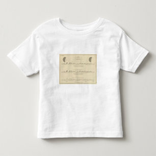 T-shirt Pour Les Tous Petits Cécité, lithographie statistique 1870 des USA