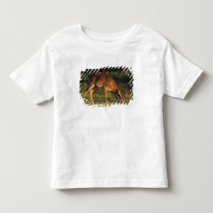 T-shirt Pour Les Tous Petits Cerf de Virginie, Odocoileus virginianus