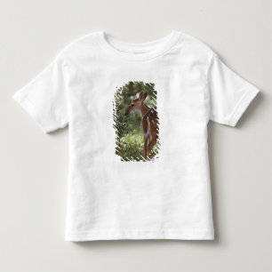 T-shirt Pour Les Tous Petits Cerf de Virginie, Odocoileus virginianus