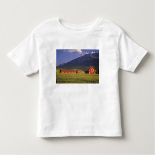 T-shirt Pour Les Tous Petits Champ de blé dans la vallée de Wallowa, juste