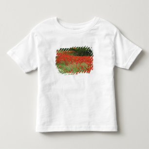 T-shirt Pour Les Tous Petits Champ de fleurs de pavot hybride planté le long de