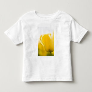T-shirt Pour Les Tous Petits Champs de tulipes de Mt. Vernon, comté de Skagit,