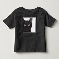 Chat, Portrait de Gus