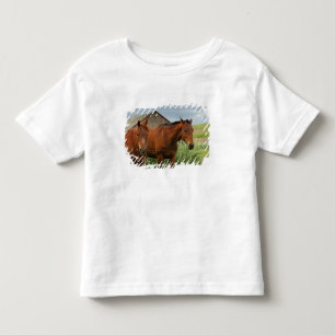 T-shirt Pour Les Tous Petits Chevaux dans un champ dans la Palouse 3