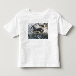 T-shirt Pour Les Tous Petits Chèvre ou chamois, peinture de roche dans la sall