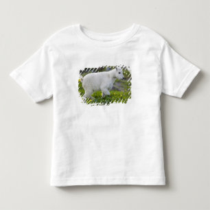 T-shirt Pour Les Tous Petits Chevreau au Logan Pass dans Glacier