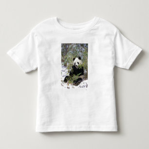 T-shirt Pour Les Tous Petits Chine, province du Sichuan. Le Panda géant se nour
