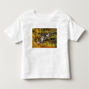 T-shirt Pour Les Tous Petits Chute d'eau au-dessous du mont Cannon dans le parc