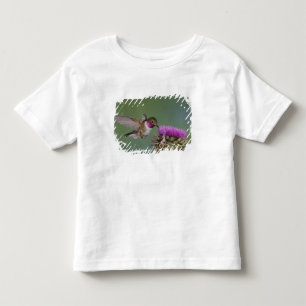 T-shirt Pour Les Tous Petits Colibri à queue large, Selasphorus
