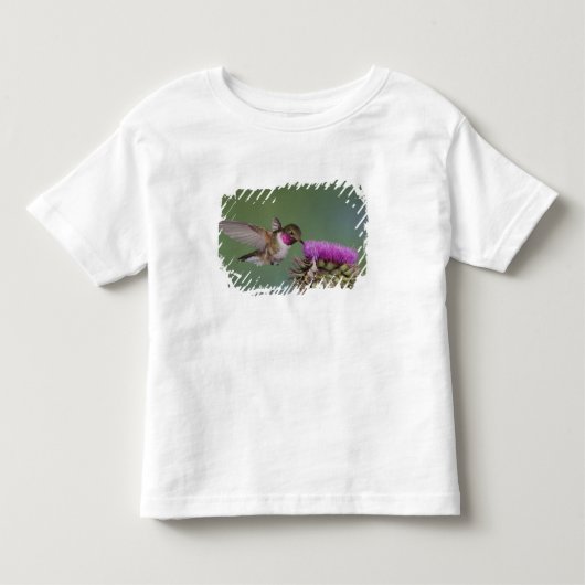 T-shirt Pour Les Tous Petits Colibri à queue large, Selasphorus (Devant)
