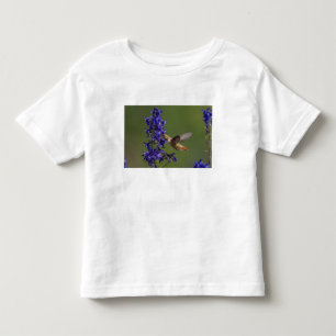 T-shirt Pour Les Tous Petits Colibri roux