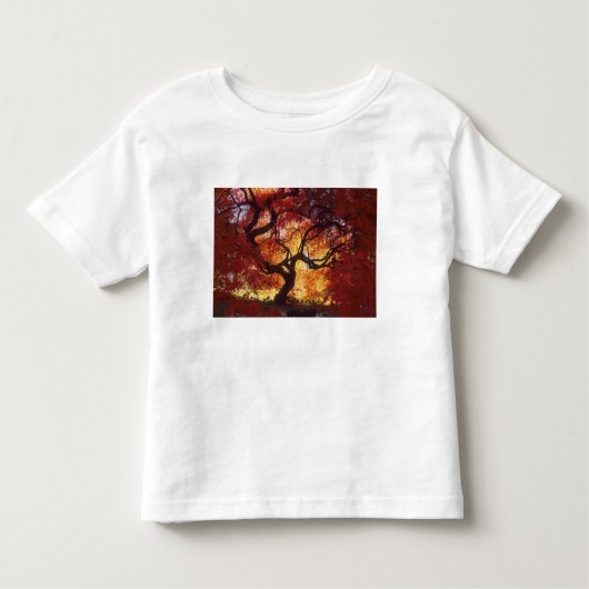 T-shirt Pour Les Tous Petits Connecticut : Darien, acre d'érable japonais (Devant)