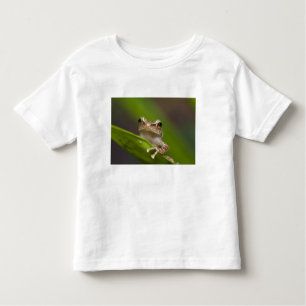 T-shirt Pour Les Tous Petits Coqui commun, Eleutherodactylus coqui