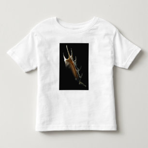 T-shirt Pour Les Tous Petits Coquille de conque