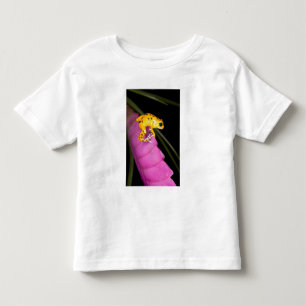 T-shirt Pour Les Tous Petits Costa Rica. Gros plan sur une grenouille dart