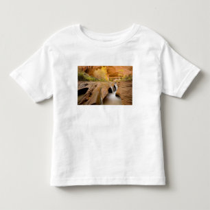 T-shirt Pour Les Tous Petits Cottonwoods en automne, Coyote Gulch, Glen