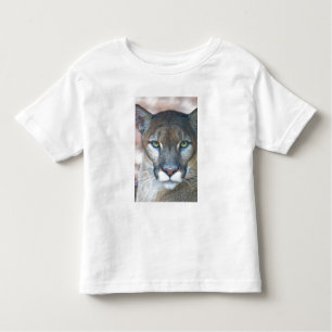 T-shirt Pour Les Tous Petits Cougar, lion de montagne, panthère de Floride, Pum