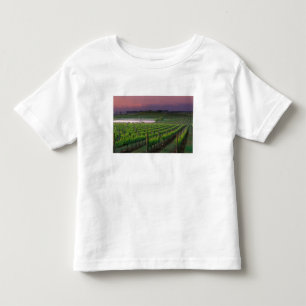 T-shirt Pour Les Tous Petits Couleur du lever de soleil dans le brouillard loin