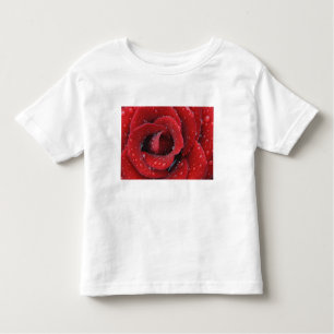 T-shirt Pour Les Tous Petits Couvre-tombe recouvert de roses rouges sur le site