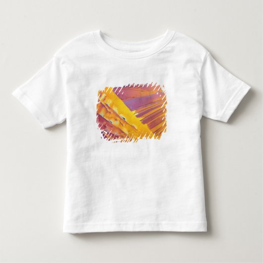 T-shirt Pour Les Tous Petits Cristaux d'acide oxalique (Devant)