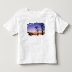 T-shirt Pour Les Tous Petits Cyprès chauves en silhouette au coucher du soleil,