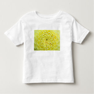 T-shirt Pour Les Tous Petits Dahlia