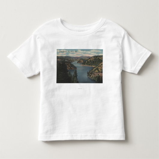 T-shirt Pour Les Tous Petits d'Alene de Coeur, identification - vue de baie de (Devant)