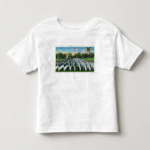 T-shirt Pour Les Tous Petits Défilé de robe d'académie militaire