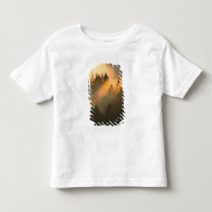 T-shirt Pour Les Tous Petits Des séquoias dans le brouillard côtier, comté d