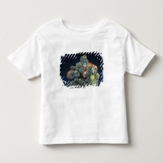 T-shirt Pour Les Tous Petits Descloizite sur la calcite (Devant)