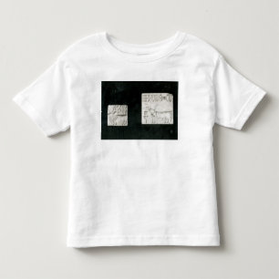 T-shirt Pour Les Tous Petits Deux ont décoré des joints dépeignant un zébu 