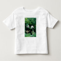 Deux pandas mangeant du bambou ensemble, Wolong