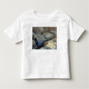T-shirt Pour Les Tous Petits Deux périphériques de type boîte emballés