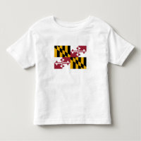 Drapeau de l'État du Maryland