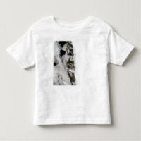 Eaux de fonte le long de la côte ouest du Groenlan