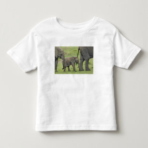 T-shirt Pour Les Tous Petits Éléphant d'Afrique femelle avec bébé