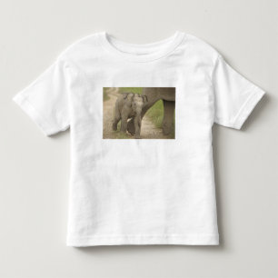 T-shirt Pour Les Tous Petits Éléphant indien / asiatique et jeune, Corbett 2
