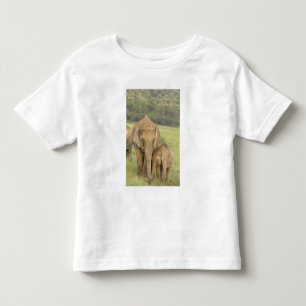 T-shirt Pour Les Tous Petits Éléphant indien / asiatique et son petit, Corbett