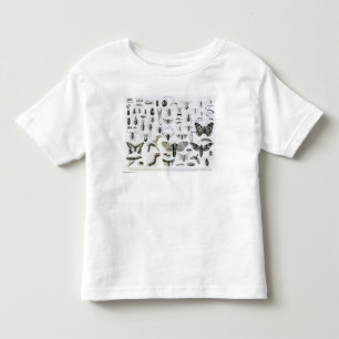 T-shirt Pour Les Tous Petits Entomologie