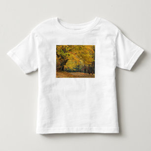 T-shirt Pour Les Tous Petits Érable d'automne surplombant une allée de campagne